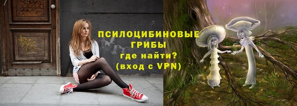 гидра Богородск