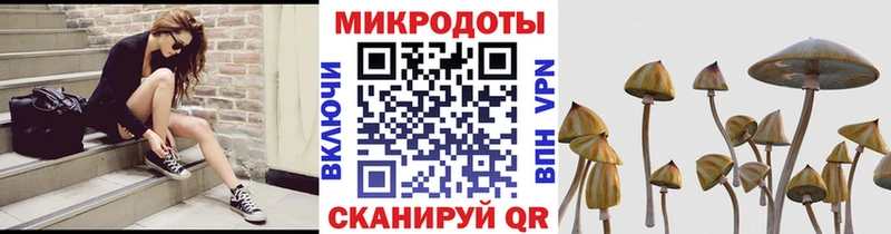 Галлюциногенные грибы прущие грибы  Коряжма 